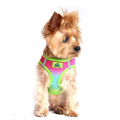 Doggie Design American River Choke Free Dog Harness Ombre Collection