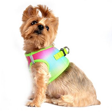 Doggie Design American River Choke Free Dog Harness Ombre Collection