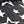 Stars Black
