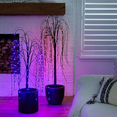 nearly natural 5-ft. Pre-Lit Halloween Black Willow Artificial Fall Tree