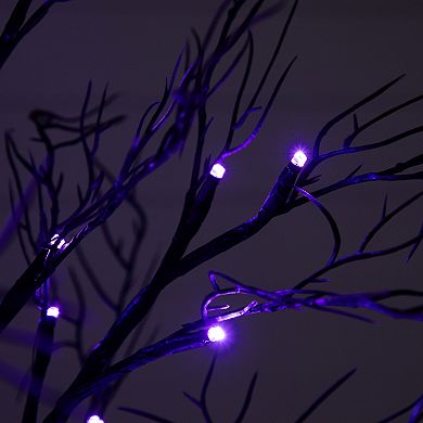 nearly natural 2-ft. Pre-Lit Halloween Deluxe Black Twig Artificial Fall Tree