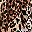 Classic Leopard