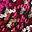 Confetti