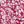 Berry Red Ditsy Floral
