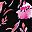 Black Multi Florals