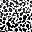 Black White Abstract