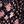 Black Patch Floral