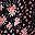 Black Patch Floral