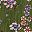 Dark Basil Floral