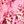Delicate Pink Sweet