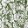 Olive Drab White