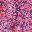 Periwinkle Raspberry
