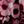 Wine Mauve Cream
