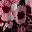 Wine Mauve Cream
