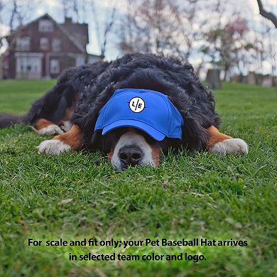 NCAA Pittsburgh Panthers Pet Baseball Hat