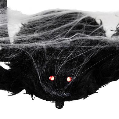 Northlight Animated Walking Spider Halloween Decoration with Sound