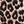 Animal Print