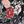 Black Rose Floral