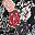 Black Rose Floral