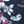 Navy Blossom