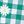 Tropical Emerald Daisy