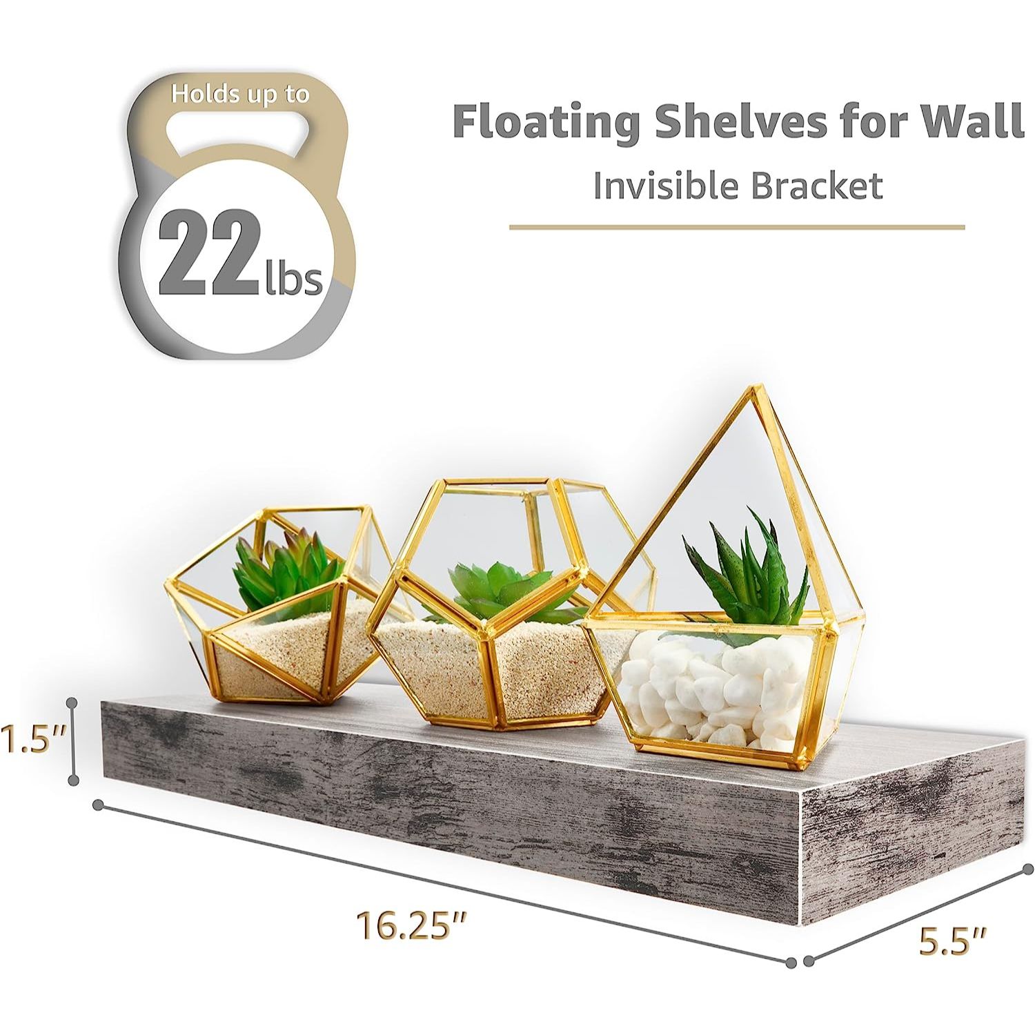 Graphic showing floating shelves weight capacity and dimensions with plants on a shelf