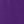 Purple Orchid