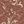 Coffee Bean Scroll