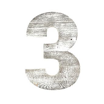 Rustic Large 16 in Decorative Monogram Wood Number (#3)