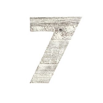 Rustic Large 16 in Decorative Monogram Wood Number (#7)