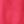 Hawaii Rose