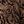 Black Khaki Scroll