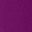 Purple Tulip