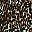 Mocha Painted Cheetah