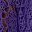 Midnight Violet
