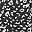 Black White Cheetah