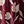 Claret Painted Petals