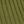 Moss Green