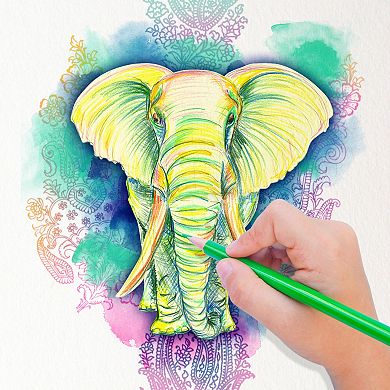 Cra-Z-Art Classroom Pack: Colored Pencils - 250 Pieces