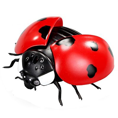 Rc ladybug online
