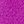 Bright Plum