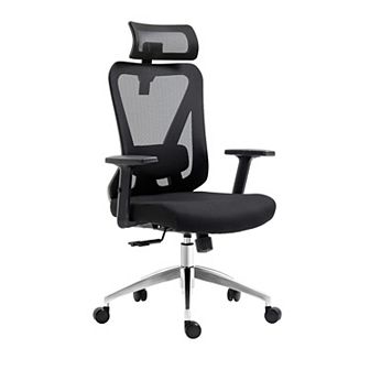 Techni Mobili Truly Ergonomic Mesh Office Chair