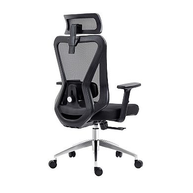 Techni Mobili Truly Ergonomic Mesh Office Chair