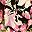 Black Multi Floral
