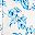 Blue White Toile