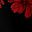 Red Outlined Bloom