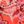 Soft Geranium Paisley