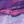 Purple Magenta