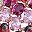 Rose Tone Red Multi