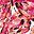 Coral Abstract